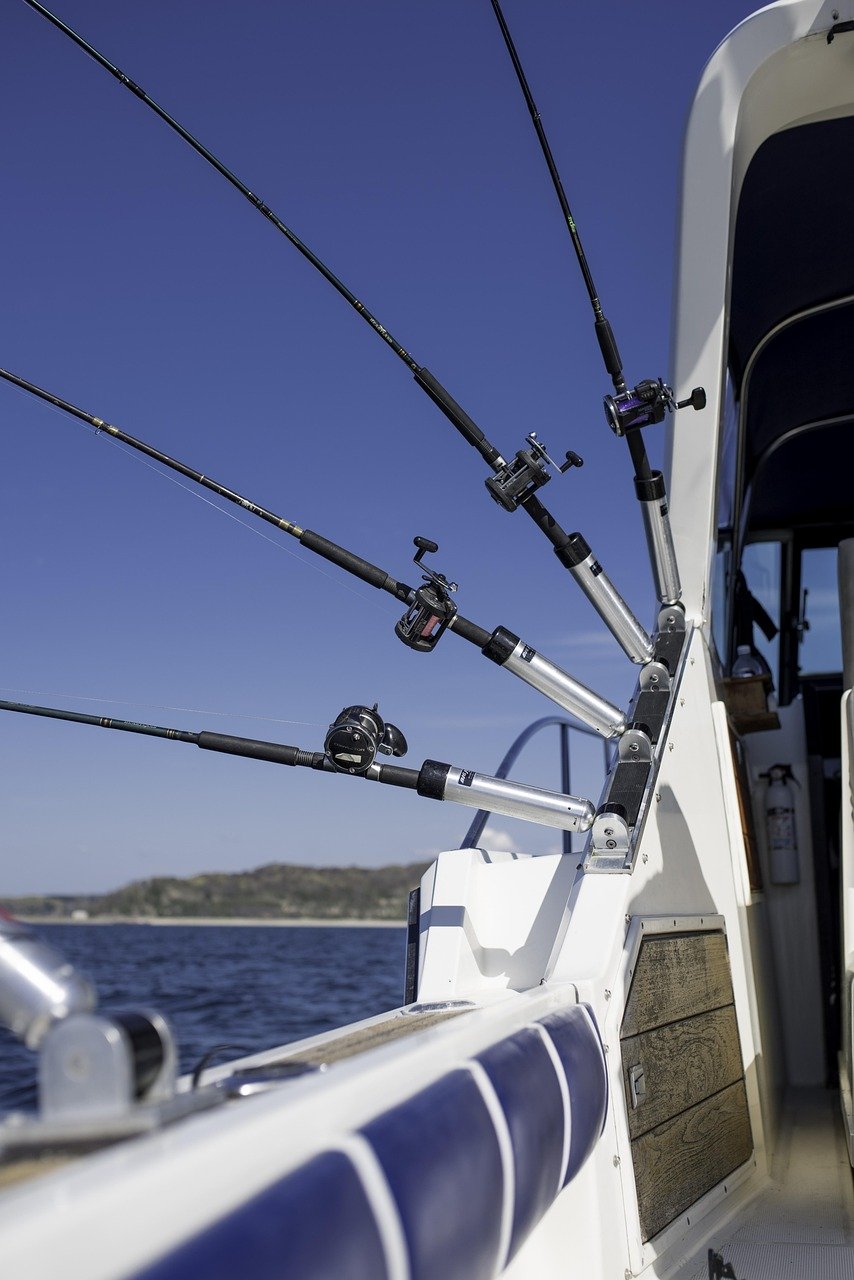 charter, fishing, water, marine, recreation, boat, sea, nautical, travel, fish, nature, angler, summer, boating